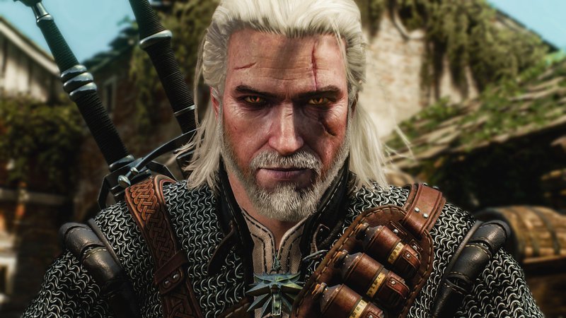 The Witcher